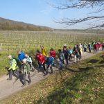 Unterwegs bei Deidesheim. Foto: OWK