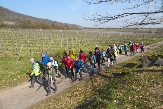 Unterwegs bei Deidesheim. Foto: OWK