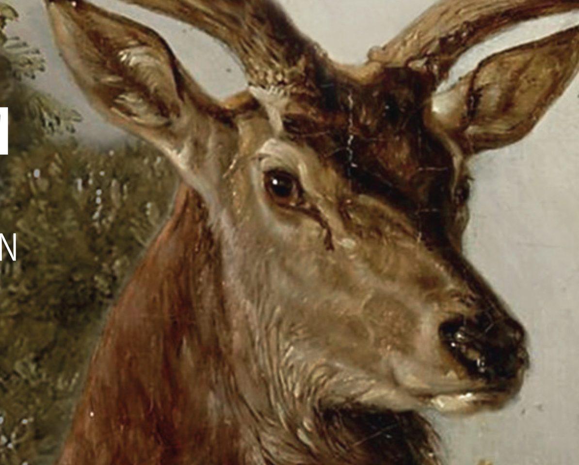 Ausstellung Jagdschloss