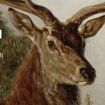 Ausstellung Jagdschloss