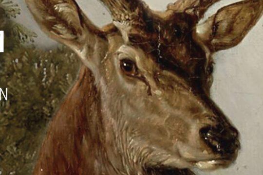 Ausstellung Jagdschloss