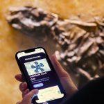 Messeljahr 2025. Foto: A. Ebert