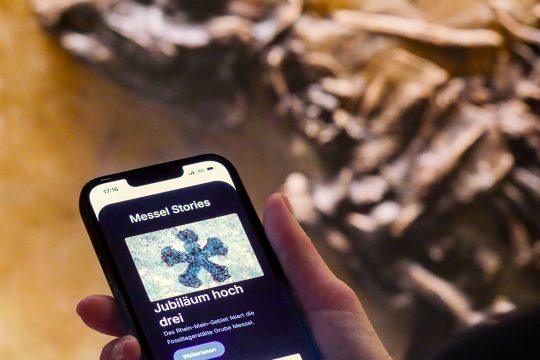 Messeljahr 2025. Foto: A. Ebert