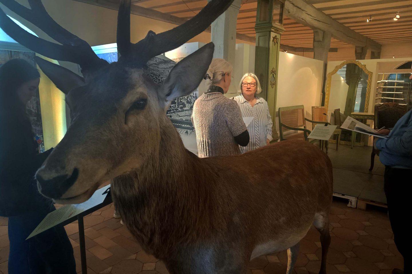 Jagdschloss Kranichstein