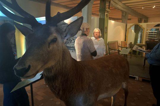 Jagdschloss Kranichstein