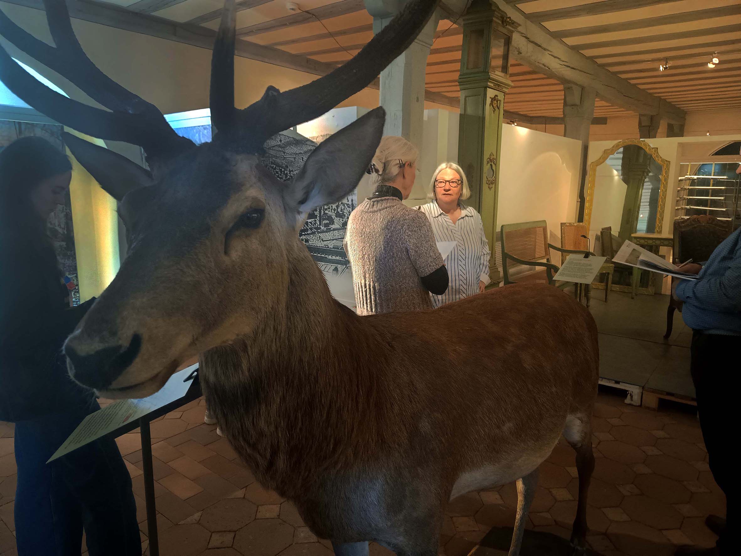 Jagdschloss Kranichstein