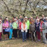 Foto: Pädscherstrampler (Abt. Wandern in der SG Dornheim)