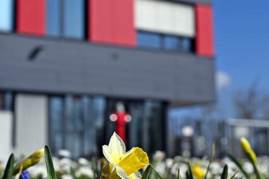 Foto: Pressestelle Groß Gerau