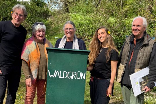 Waldkanzel Waldgrün