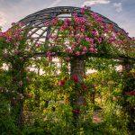 Foto: René Antonoff