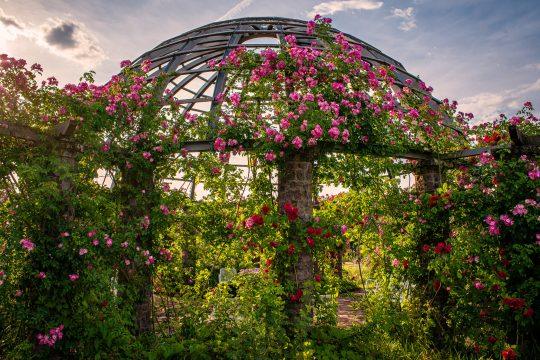 Foto: René Antonoff