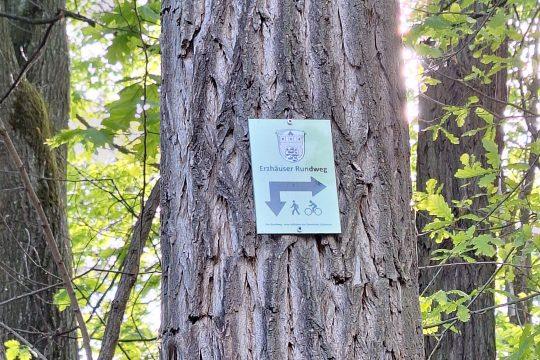 Wegweise im Wald Erzhausen