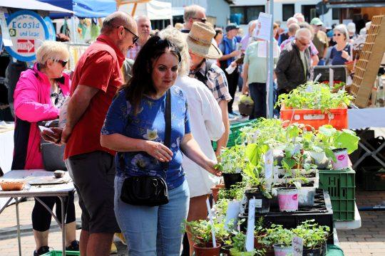 Auch Pflanzen werden wieder wie hier im Vorjahr zum vielfältigen Angebot es Ökomarkts gehören. Archivfoto: Stadt Riedstadt